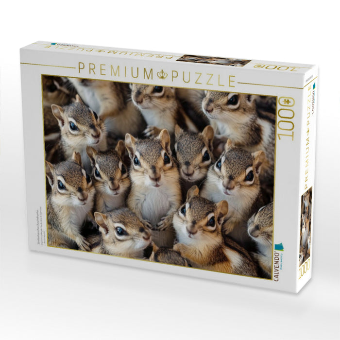 Streifenhörnchen Kuschelhaufen - CALVENDO Foto-Puzzle'