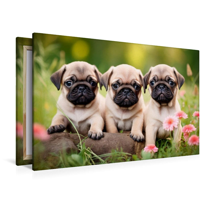 Premium Textil-Leinwand Mopsparade im Blütenmeer