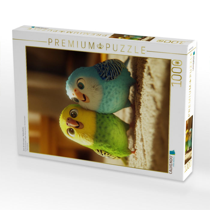 Zwei, die sich mögen - Wellensittiche - CALVENDO Foto-Puzzle'
