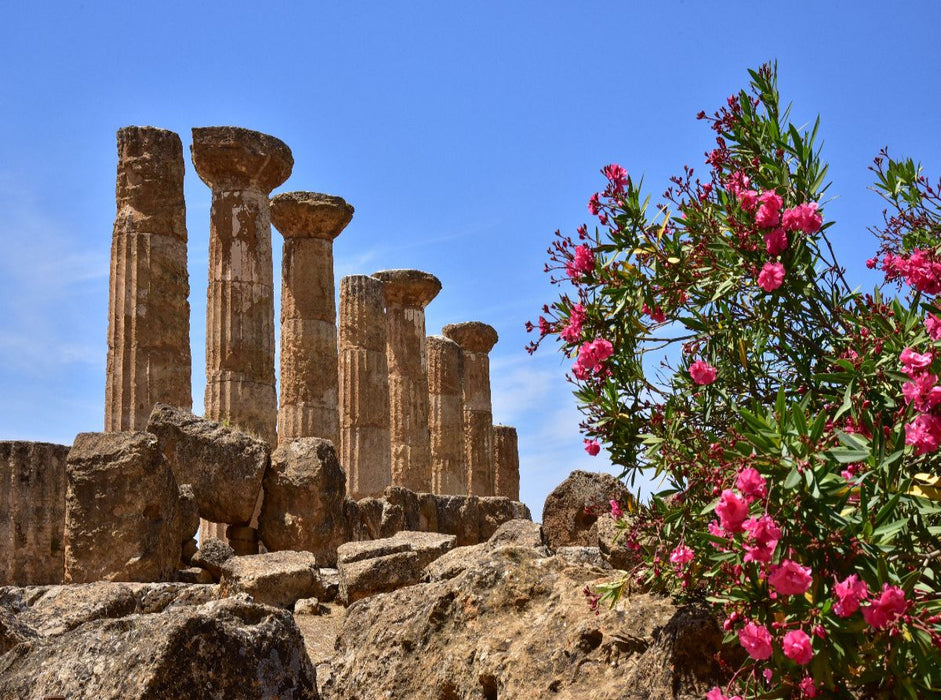 Herkules-Tempel, Agrigent - CALVENDO Foto-Puzzle'