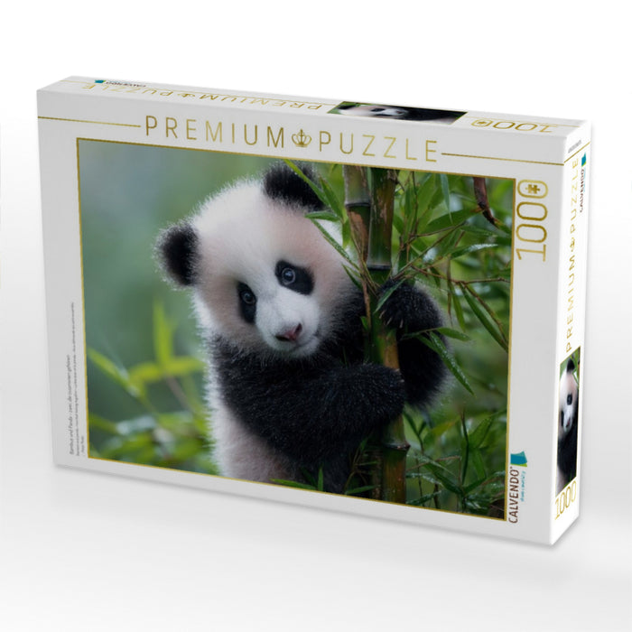 Bambus und Panda - zwei, die zusammen gehören - CALVENDO Foto-Puzzle'