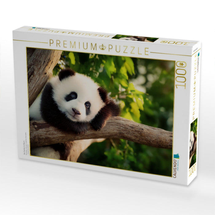 Der Denker im Baum - CALVENDO Foto-Puzzle'