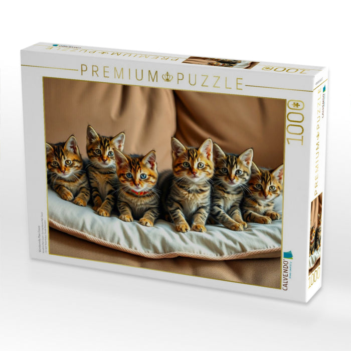 Wundervolle Main Coons - CALVENDO Foto-Puzzle'