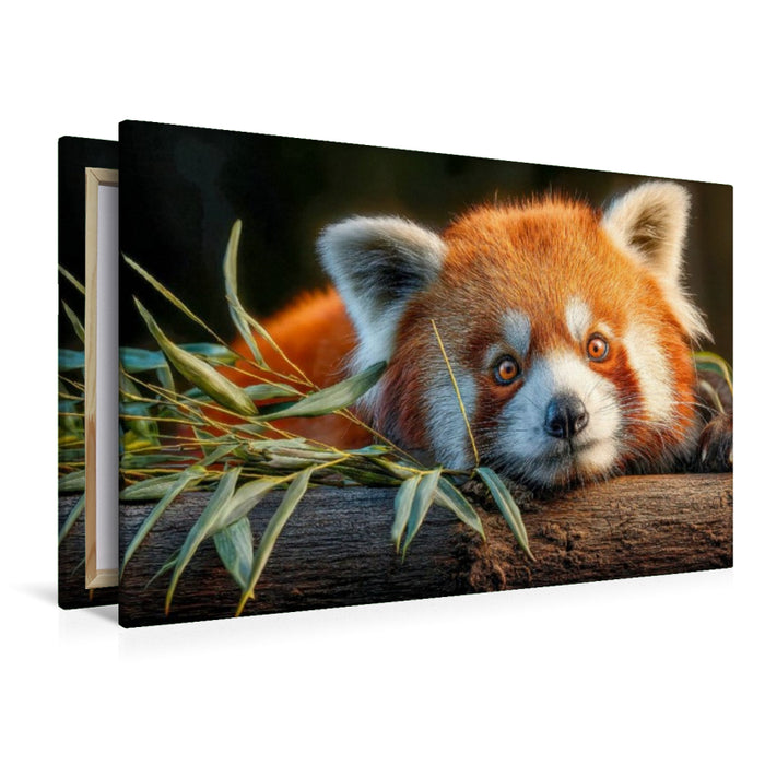 Premium Textil-Leinwand Ich liebe Bambus