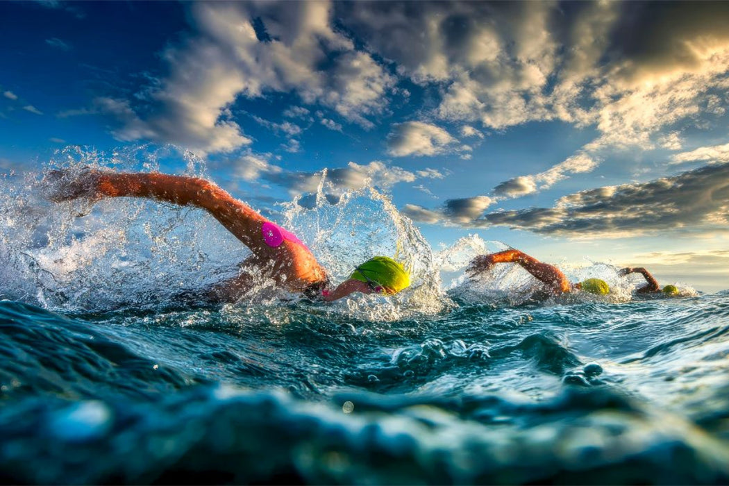 Premium Textil-Leinwand Der Triathlon hat begonnen