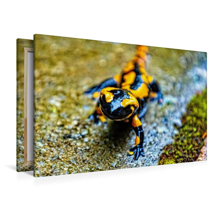 Premium Textil-Leinwand Feuersalamander m Harz