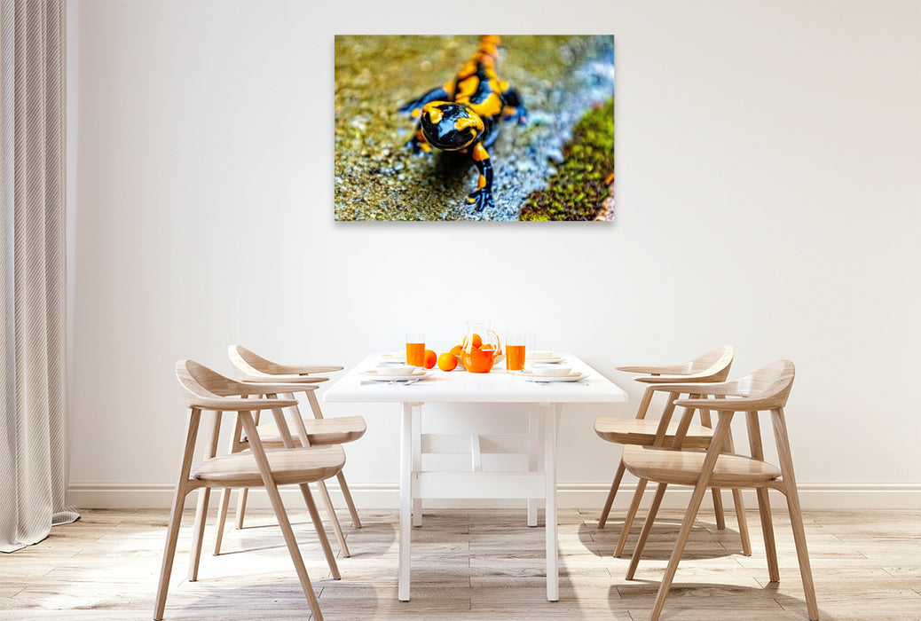 Premium Textil-Leinwand Feuersalamander m Harz