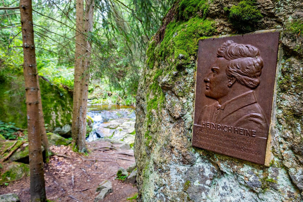 Premium Textil-Leinwand Über den Heinrich-Heine-Weg durch das Ilsetal zu den Ilsefällen
