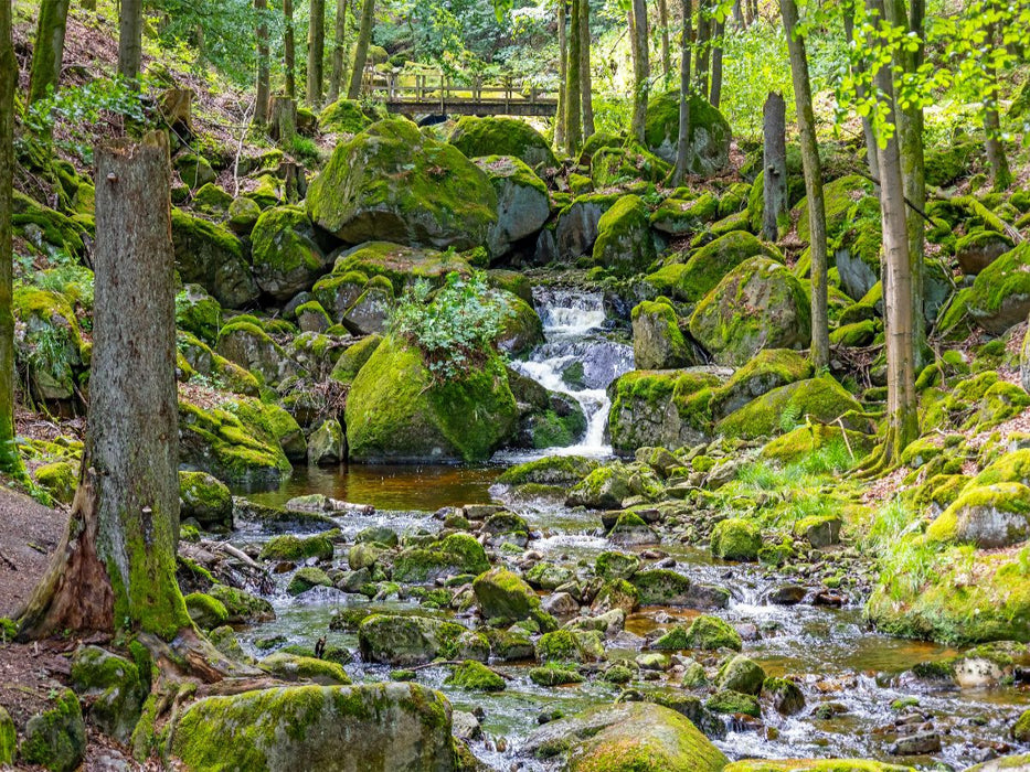 Im Ilsetal nahe der unteren Ilsefälle - CALVENDO Foto-Puzzle'