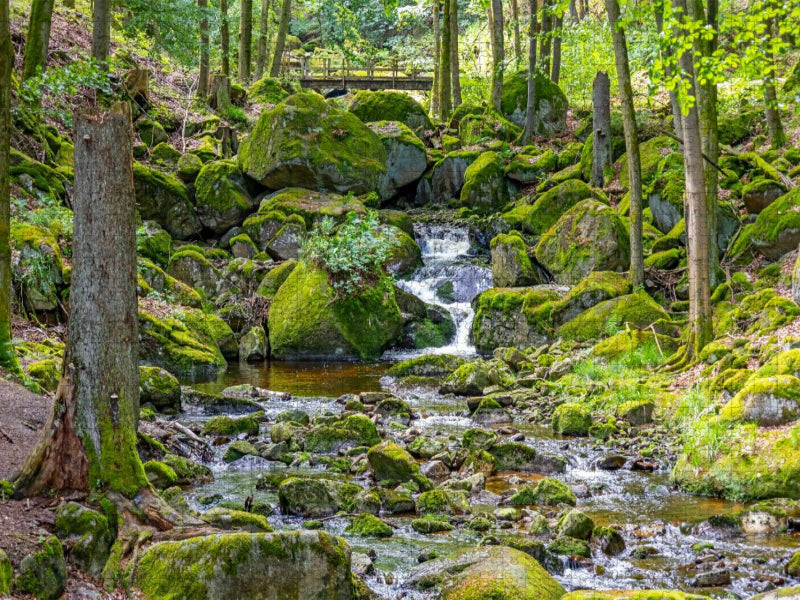 Im Ilsetal nahe der unteren Ilsefälle - CALVENDO Foto-Puzzle'