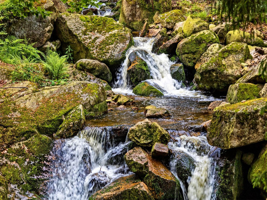 An den oberen Ilsefällen - CALVENDO Foto-Puzzle'