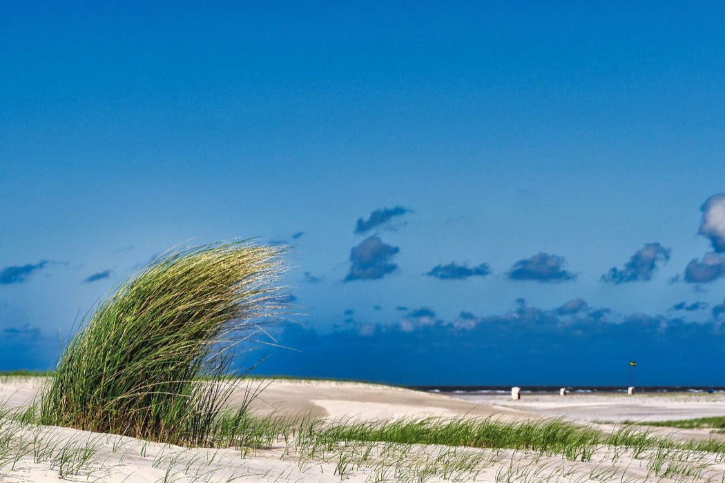 Premium Textil-Leinwand Strandbewuchs