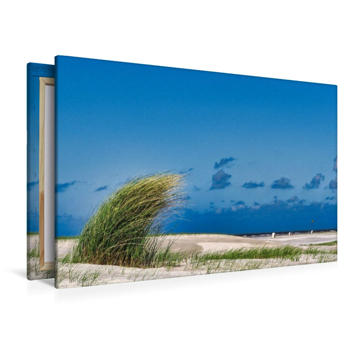 Premium Textil-Leinwand Strandbewuchs