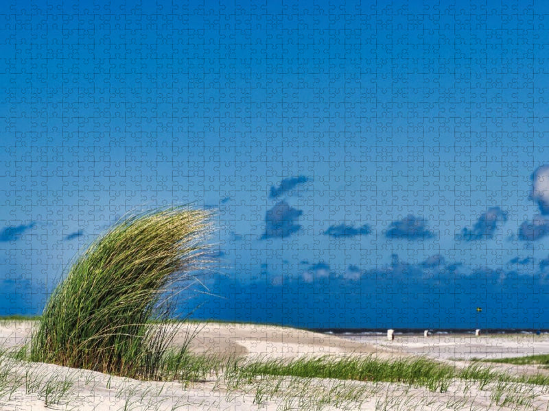 Strandbewuchs - CALVENDO Foto-Puzzle'