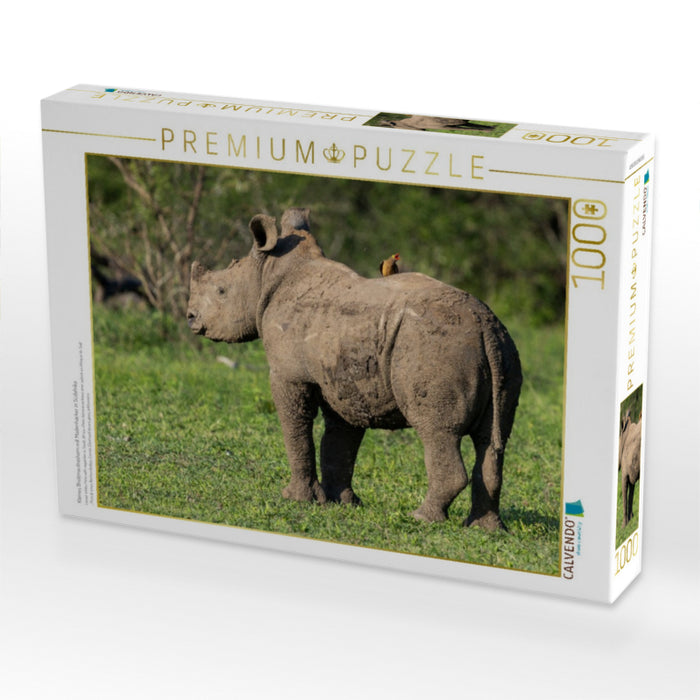Kleines Breitmaulnashorn mit Madenhacker in Südafrika - CALVENDO Foto-Puzzle'