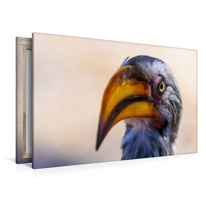 Premium Textil-Leinwand Neugieriger Gelbschnabeltoko in Botswana