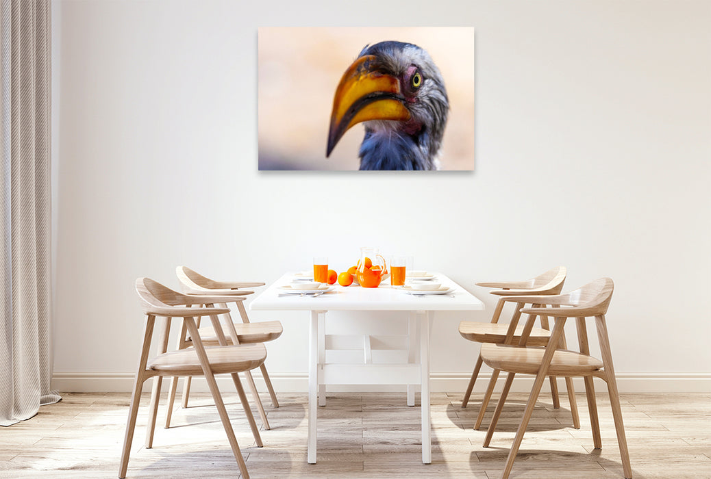 Premium Textil-Leinwand Neugieriger Gelbschnabeltoko in Botswana