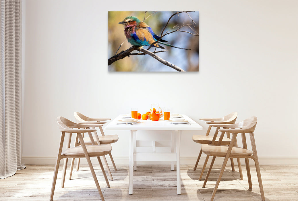 Premium Textil-Leinwand Gabelracke mit lilafarbener Brust in Botswana