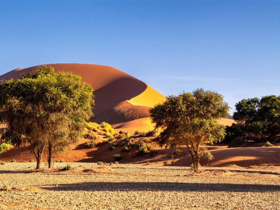 Dünen in Sossusvlei - CALVENDO Foto-Puzzle'