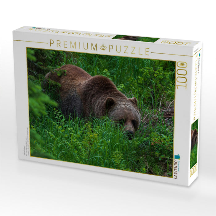 Bär im Grünen - CALVENDO Foto-Puzzle'