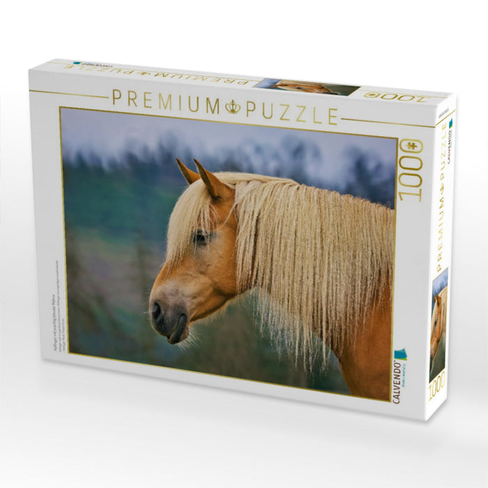 Haflinger mit prächtig blonder Mähne - CALVENDO Foto-Puzzle'