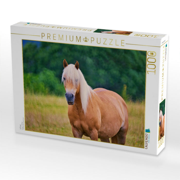 Haflinger - CALVENDO Foto-Puzzle'