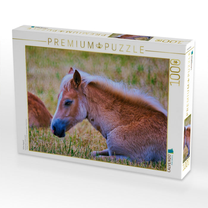 Fohlen liegend - CALVENDO Foto-Puzzle'