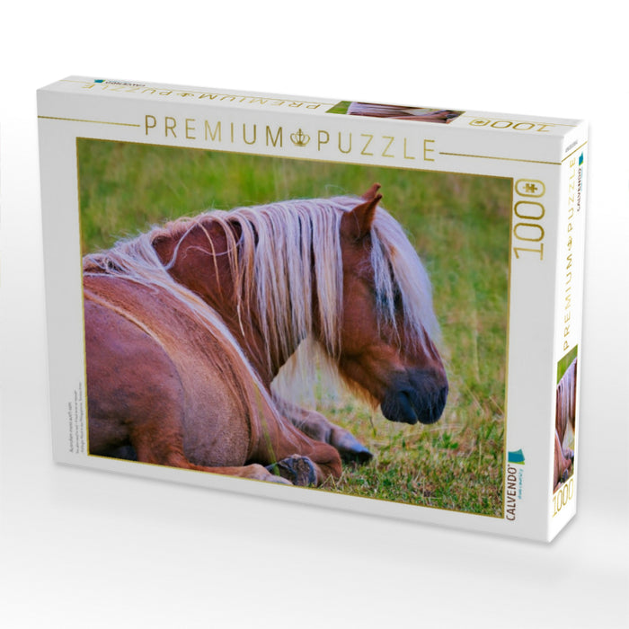 Ausruhen muss auch sein - CALVENDO Foto-Puzzle'