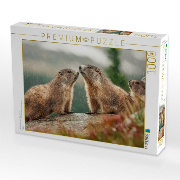 Oh wie schön - eine Regendusche - CALVENDO Foto-Puzzle'