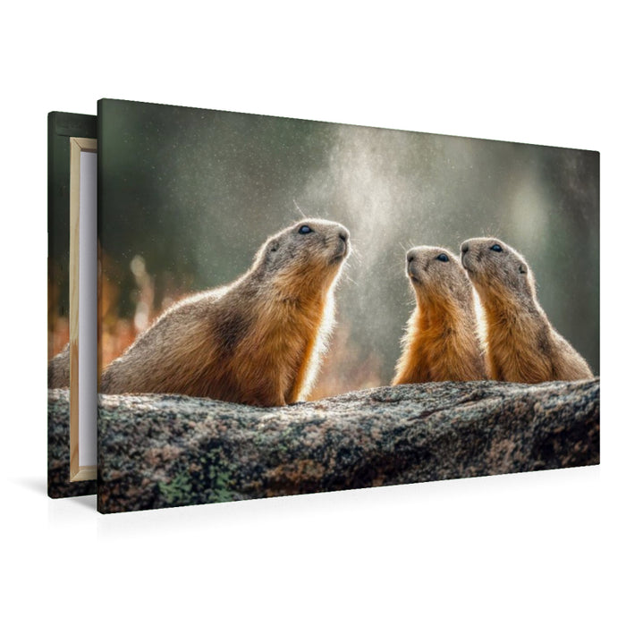 Premium Textil-Leinwand Hört ihr das auch?