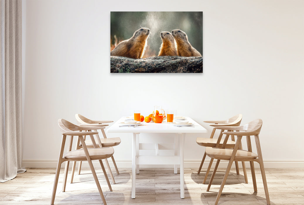 Premium Textil-Leinwand Hört ihr das auch?