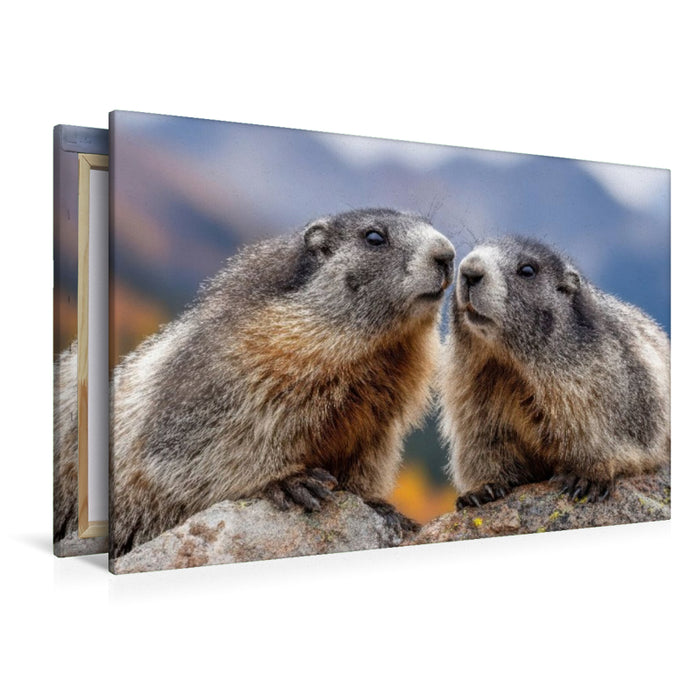 Premium Textil-Leinwand Wir gehören zusammen