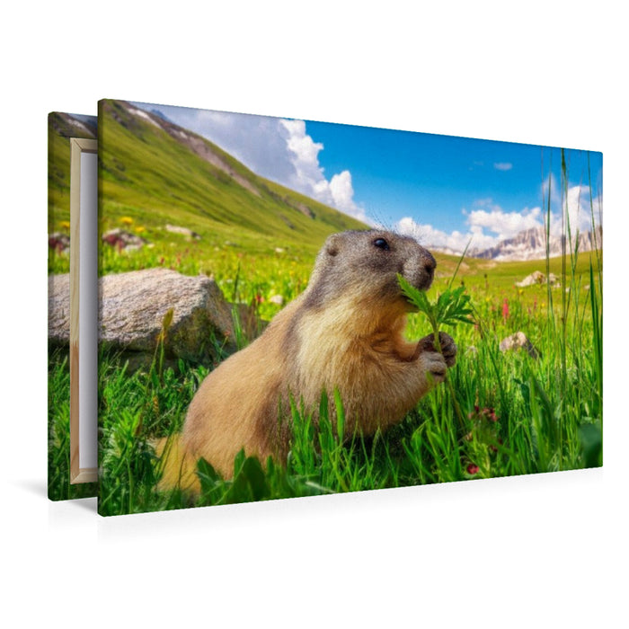 Premium Textil-Leinwand Ein herrlicher Fressplatz