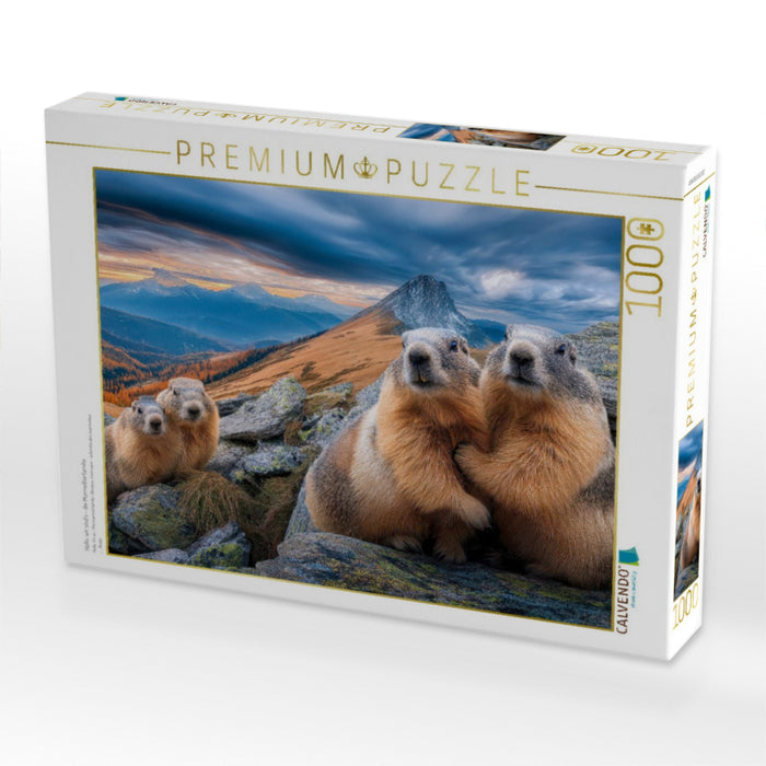 Hallo, wir sind´s - die Murmeltierfamilie - CALVENDO Foto-Puzzle'