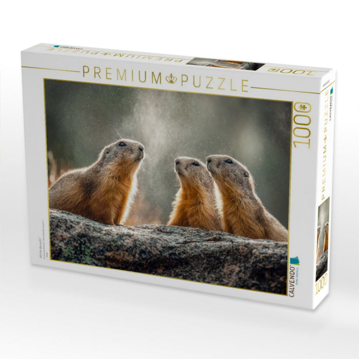 Hört ihr das auch? - CALVENDO Foto-Puzzle'