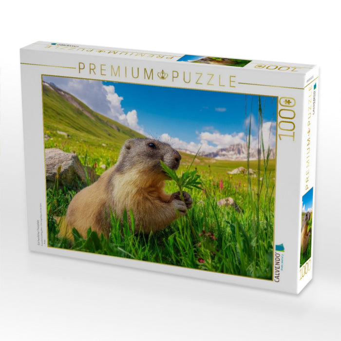 Ein herrlicher Fressplatz - CALVENDO Foto-Puzzle'