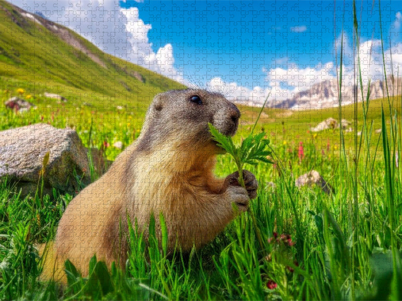 Ein herrlicher Fressplatz - CALVENDO Foto-Puzzle'