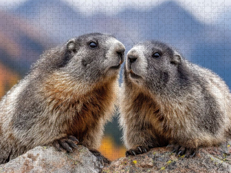 Wir gehören zusammen - CALVENDO Foto-Puzzle'