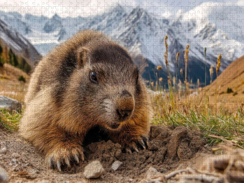 Auf dem Weg in die Höhle - CALVENDO Foto-Puzzle'