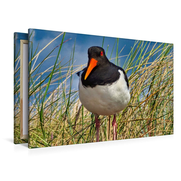 Premium Textil-Leinwand Einheimischer