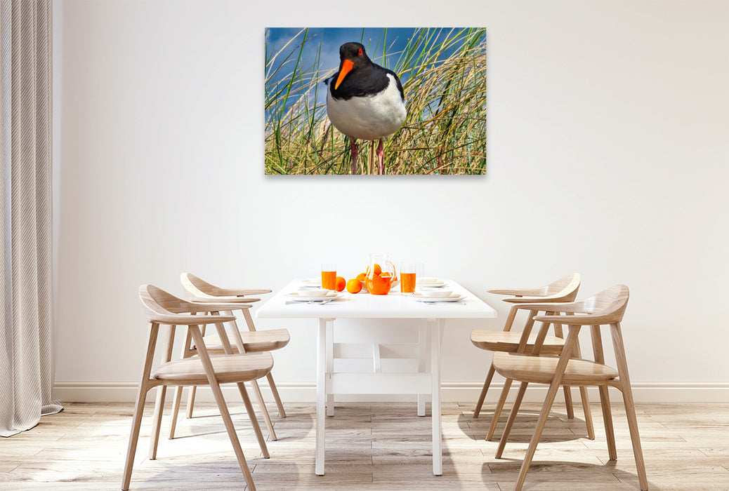 Premium Textil-Leinwand Einheimischer