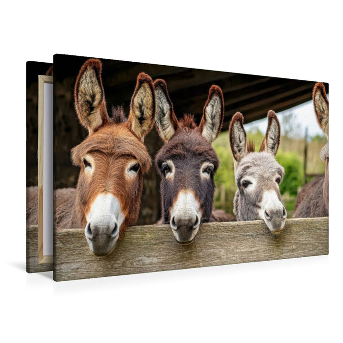 Premium Textil-Leinwand Wir warten schon auf euch!