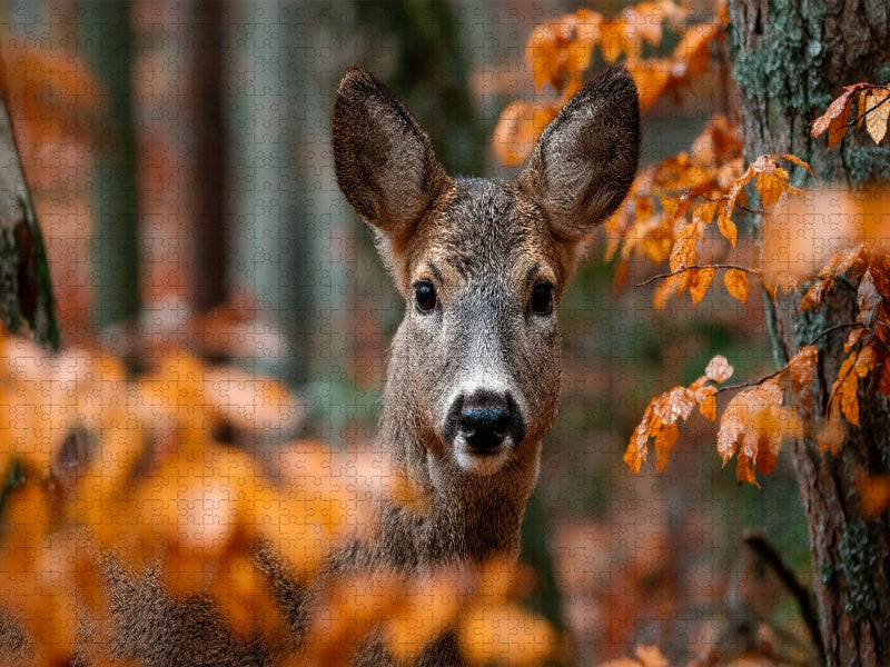 Reh im herbstlichen Wald zwischen orangefarbenem Laub - CALVENDO Foto-Puzzle'
