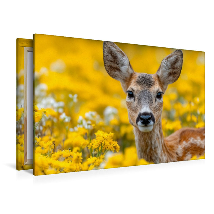 Premium Textil-Leinwand Rehkitz im gelben Blütenmeer mit aufmerksamem Blick