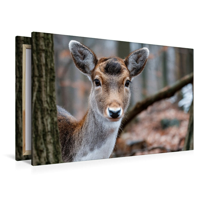 Premium Textil-Leinwand Junges Reh zwischen Bäumen in herbstlichem Wald