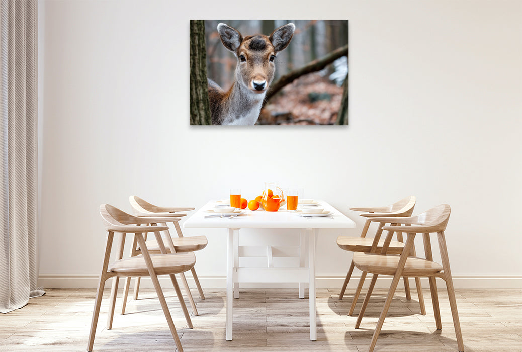 Premium Textil-Leinwand Junges Reh zwischen Bäumen in herbstlichem Wald