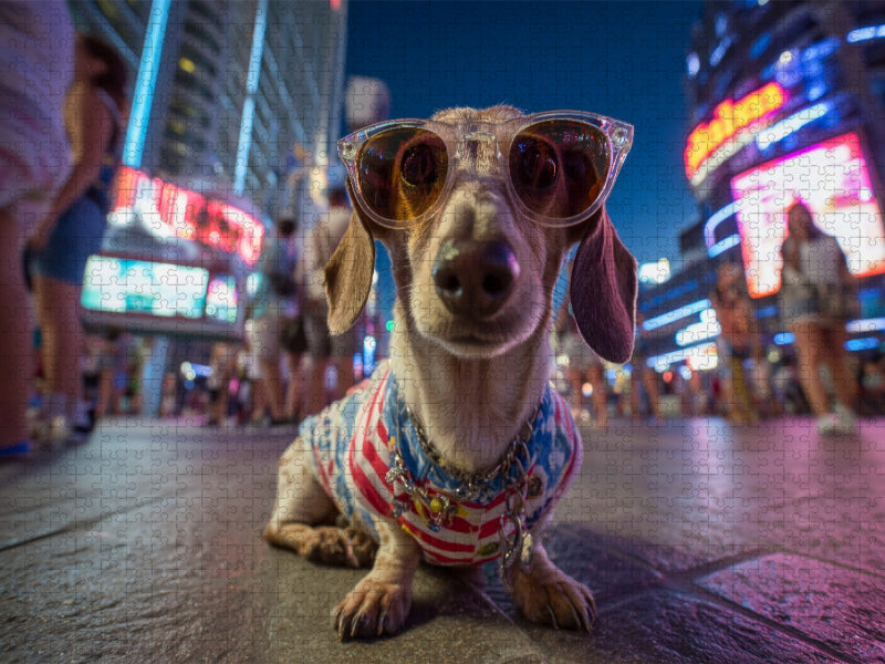 Dackel bei Nacht in Las Vegas - lustiges Hundepuzzle mit USA-Flair - CALVENDO Foto-Puzzle'