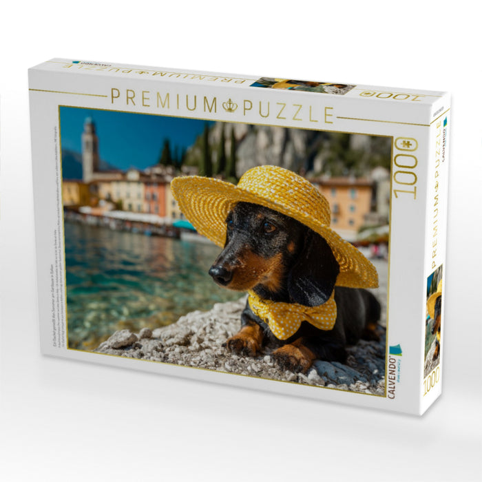 Ein Dackel genießt den Sommer am Gardasee in Italien - CALVENDO Foto-Puzzle'