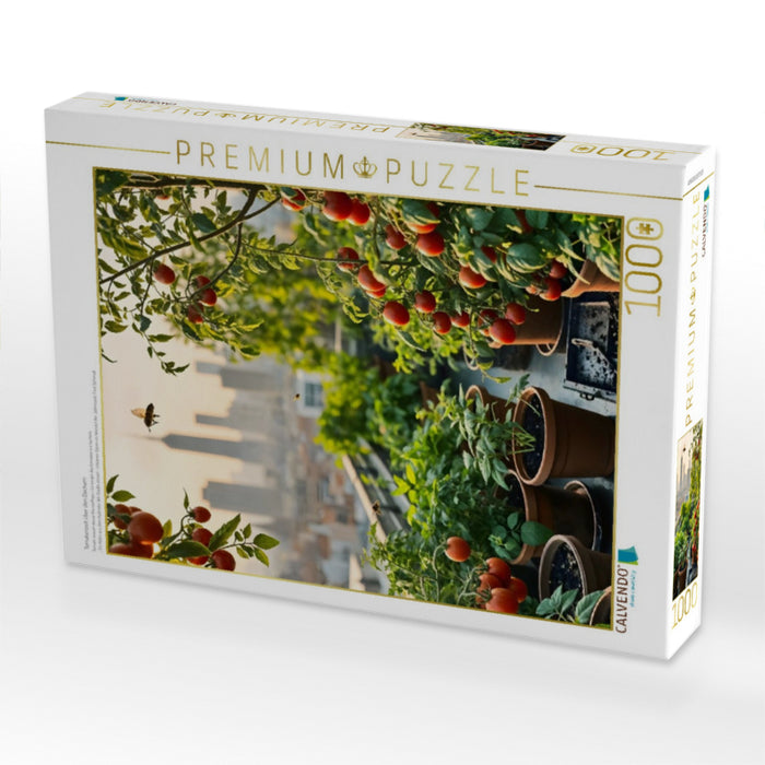 Tomatenzeit über den Dächern - CALVENDO Foto-Puzzle'