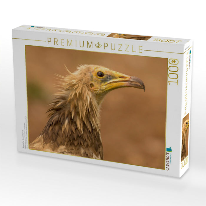 Ägyptischer Geier im Porträt - CALVENDO Foto-Puzzle'
